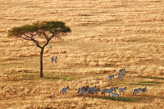 ecotourism tanzania